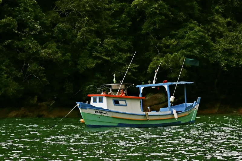 Barco de pesca fundeado em água calma, diante da mata.