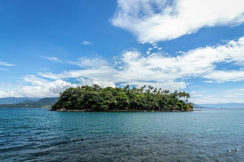 Ilha coberta de mata no meio do mar, vista da água.